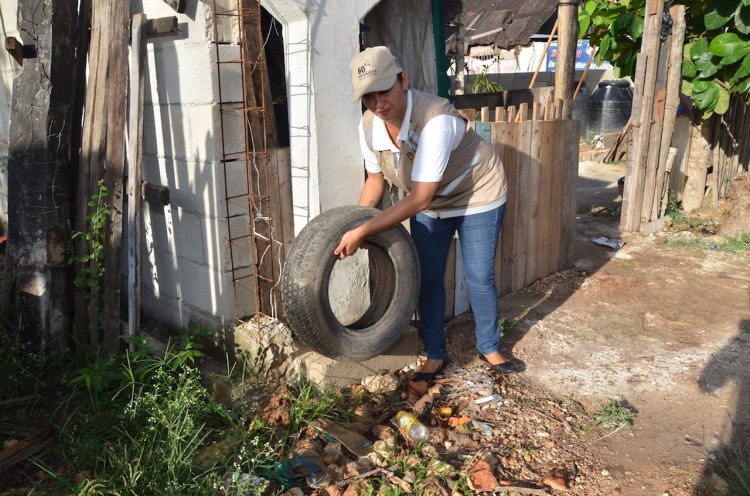 SESA-eliminación-de-criaderos3