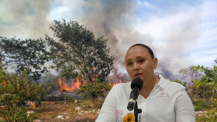 Mantiene Quintana Roo dos incendios forestales activos; uno ya está controlado al&nbsp;100%